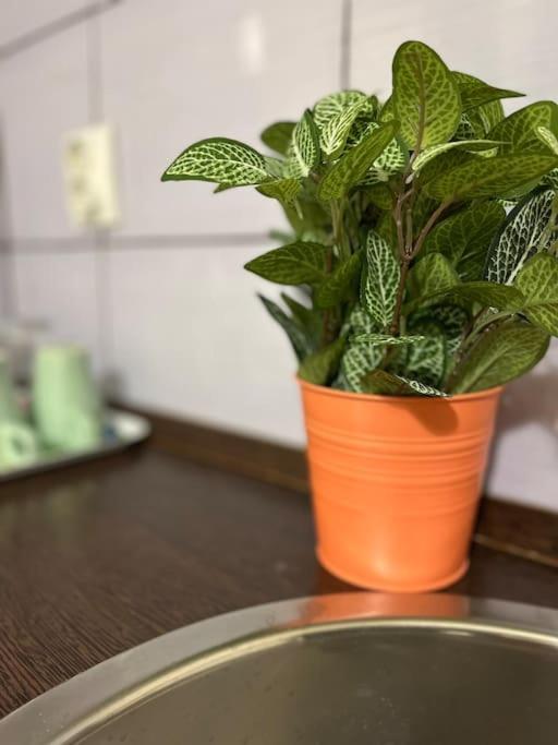 2# Sunflower Cozy Apartment Budapest Extérieur photo